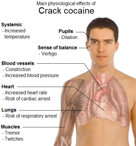 crack cocaine addiction diagram