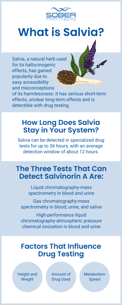 Salvia Addiction Treatment March 2 How Long Does Salvia Stay in Your System