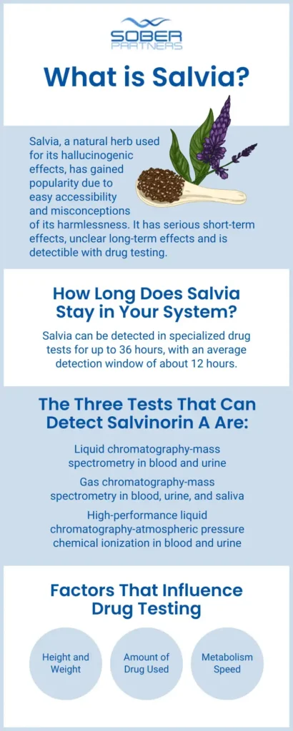 Salvia-Addiction-Treatment-Infographics