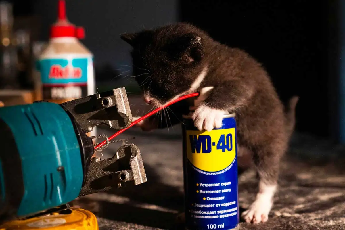 WD-40-Specialist-Contact-Cleaner-and-a-kitten