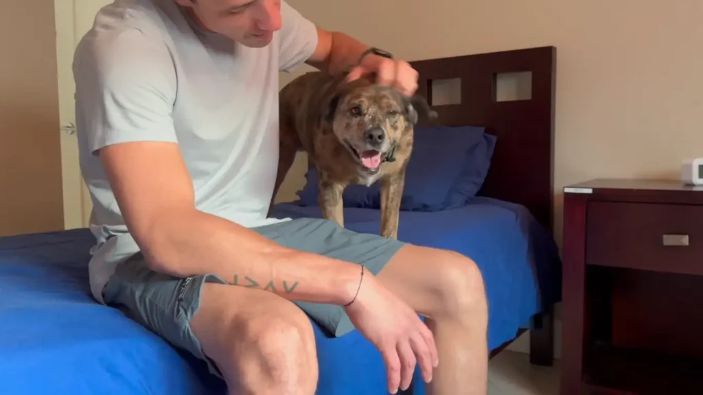 Man comforting his dog in a pet-friendly rehab bedroom at Sober Partners in Huntington Beach.